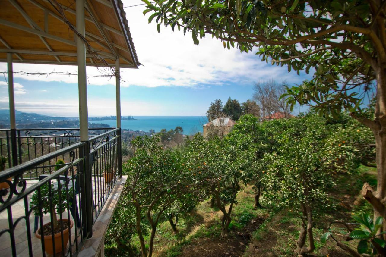 Guesthouse Mtsvane Koncxi 22 Mtsvane Kontskhi Kültér fotó
